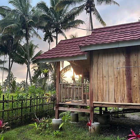 Syaqila Homestay Lombok Tetebatu Luaran gambar