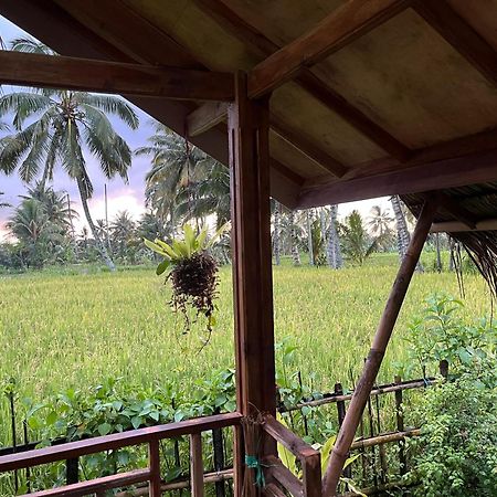 Syaqila Homestay Lombok Tetebatu Luaran gambar