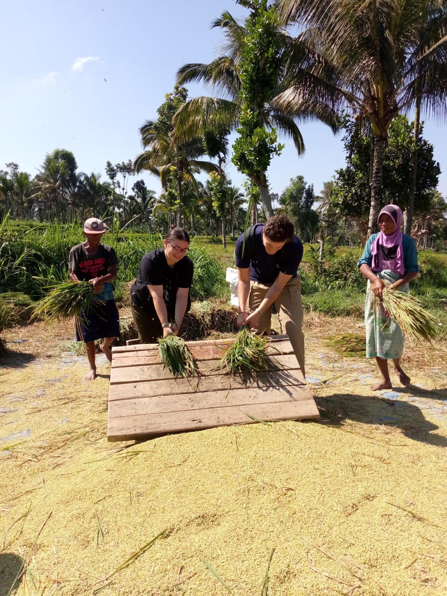 Syaqila Homestay Lombok Tetebatu Luaran gambar