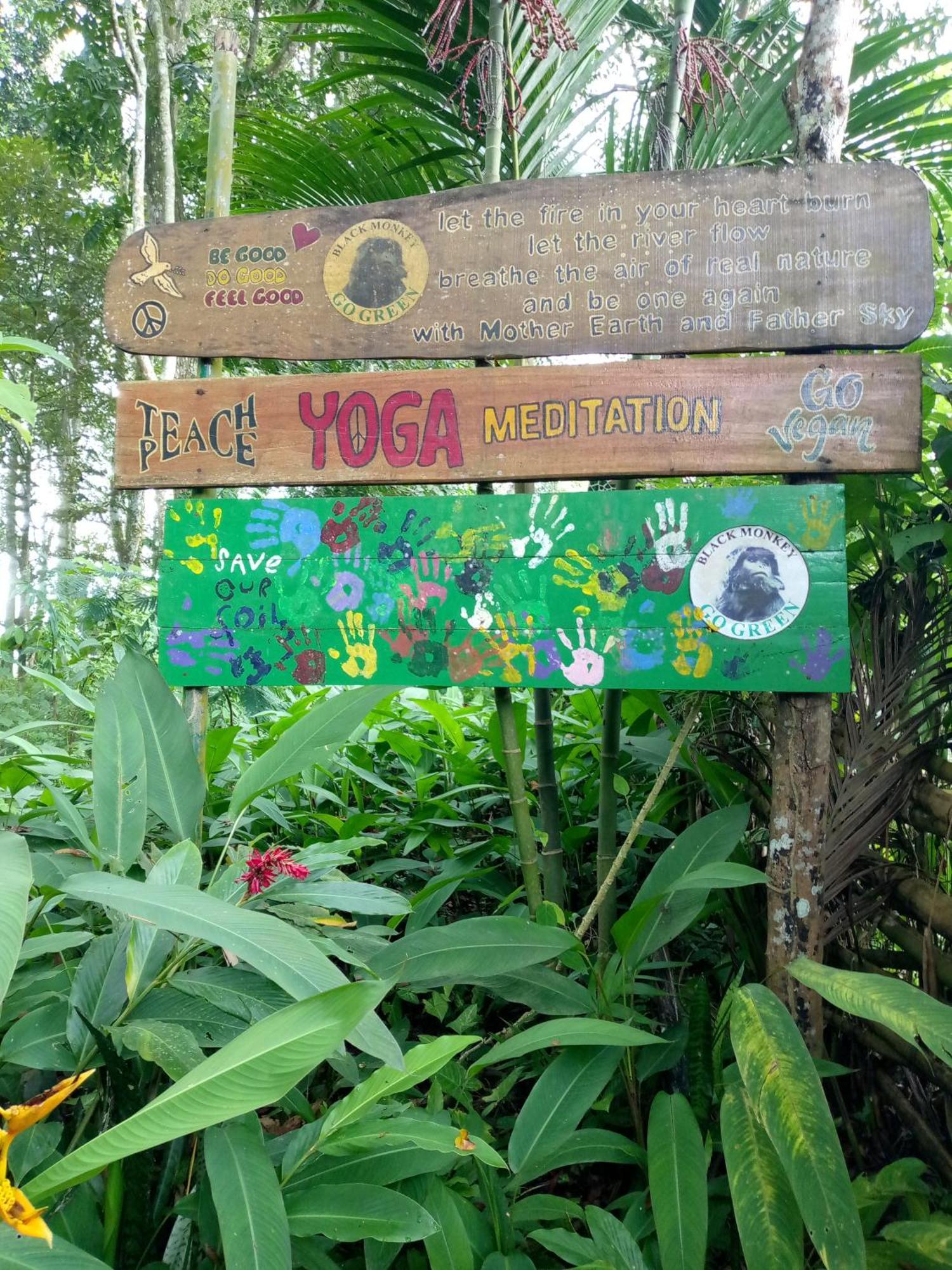 Syaqila Homestay Lombok Tetebatu Luaran gambar