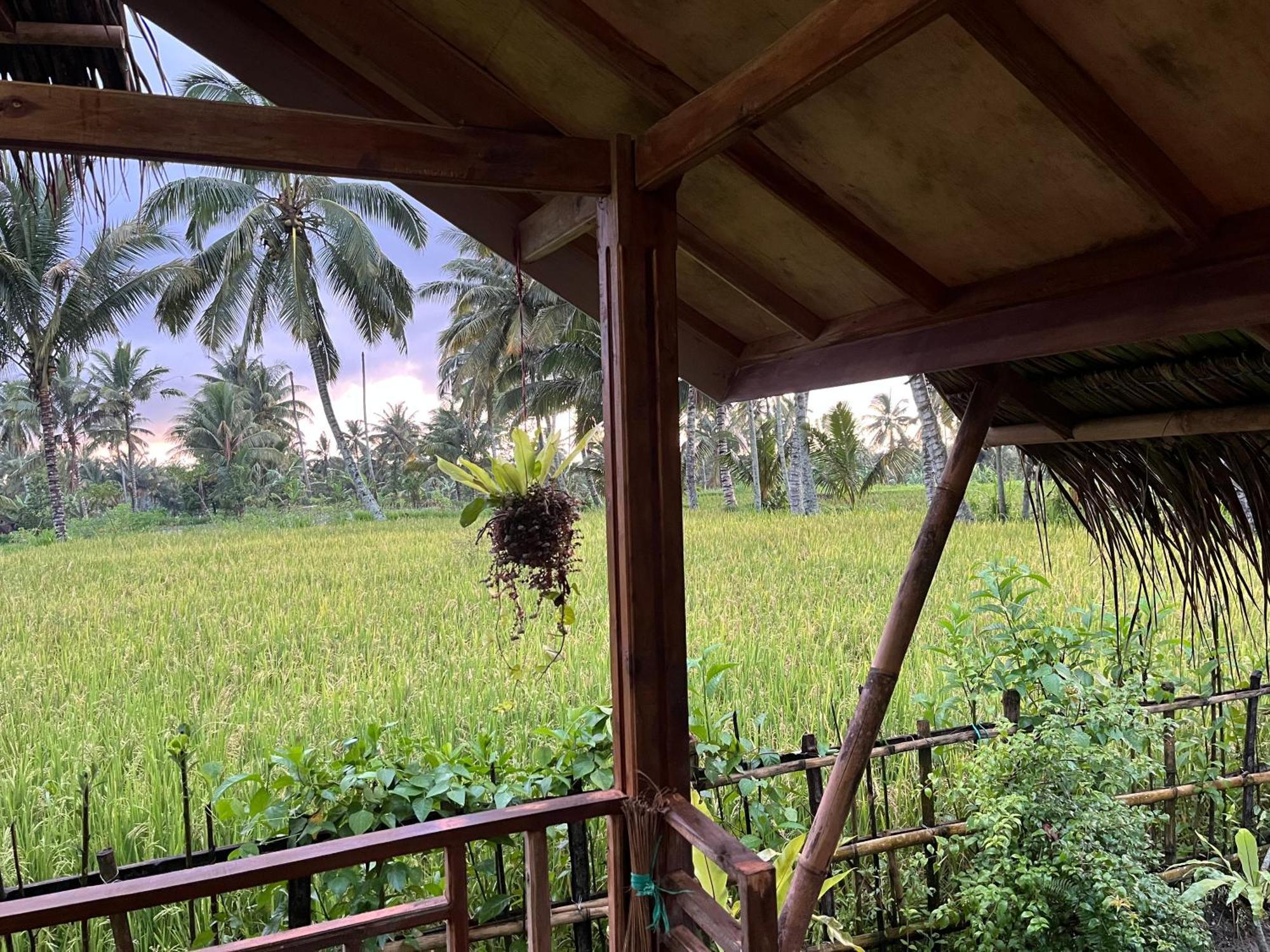 Syaqila Homestay Lombok Tetebatu Luaran gambar