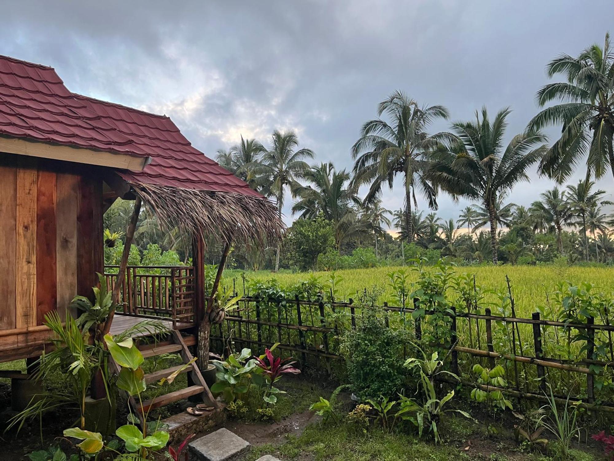 Syaqila Homestay Lombok Tetebatu Luaran gambar