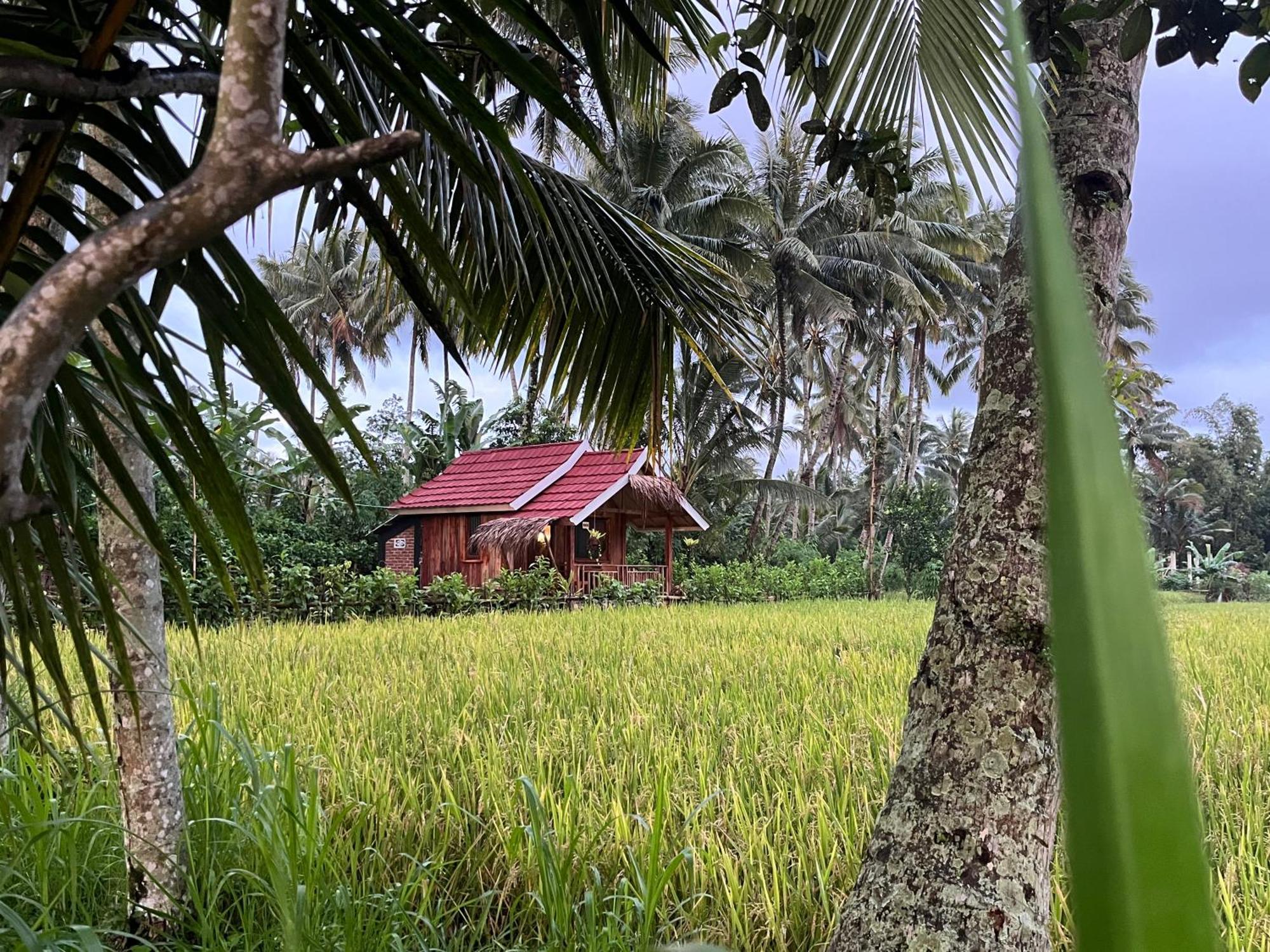 Syaqila Homestay Lombok Tetebatu Luaran gambar