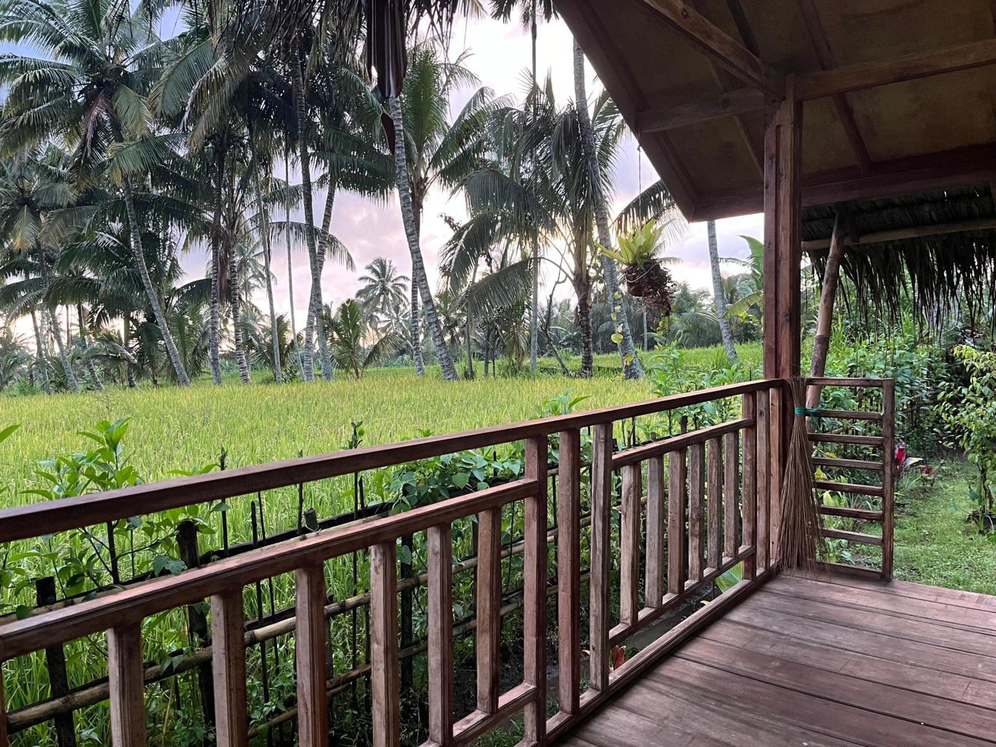 Syaqila Homestay Lombok Tetebatu Luaran gambar