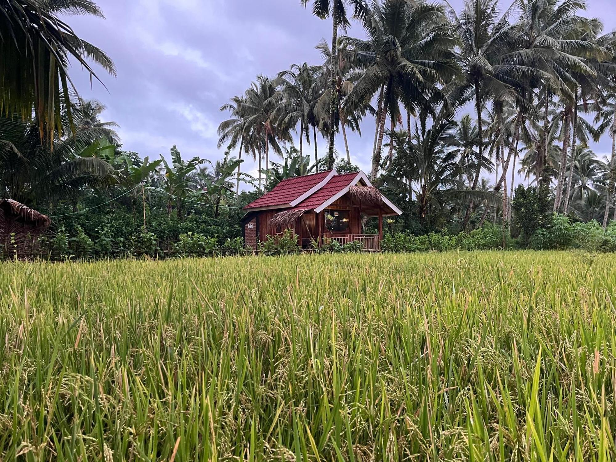 Syaqila Homestay Lombok Tetebatu Luaran gambar